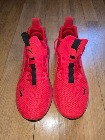 Puma chaussures taille 43