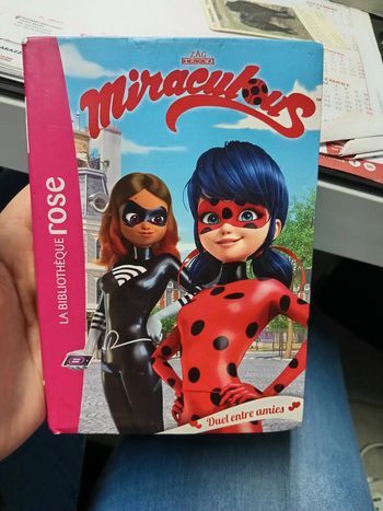 Livre miraculous numéro 6