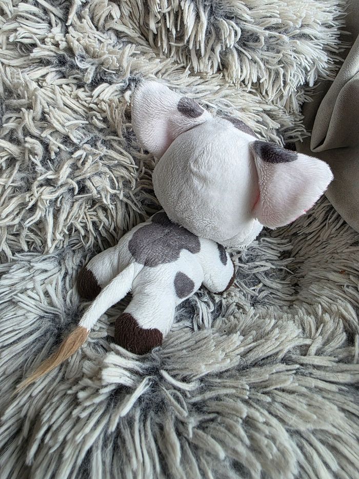 Peluche natif disney pua - princesse vaiana disneyland paris - disney store - photo numéro 3