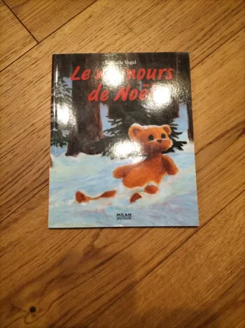 Livre le nounours de Noël.