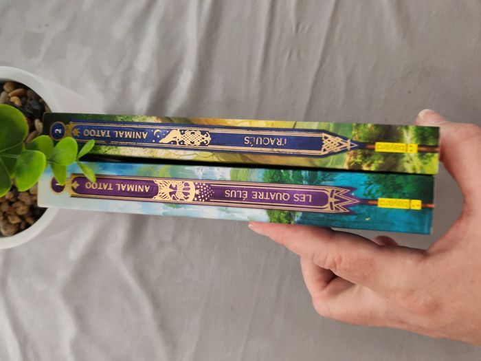 Lot de 2 livres - photo numéro 8