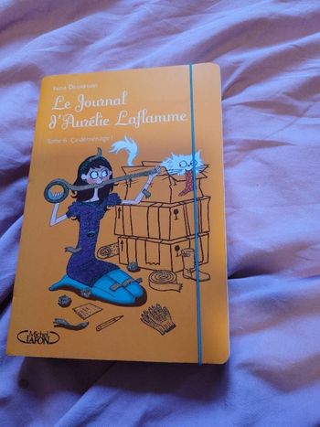 Le journal d Aurelie Laflamme