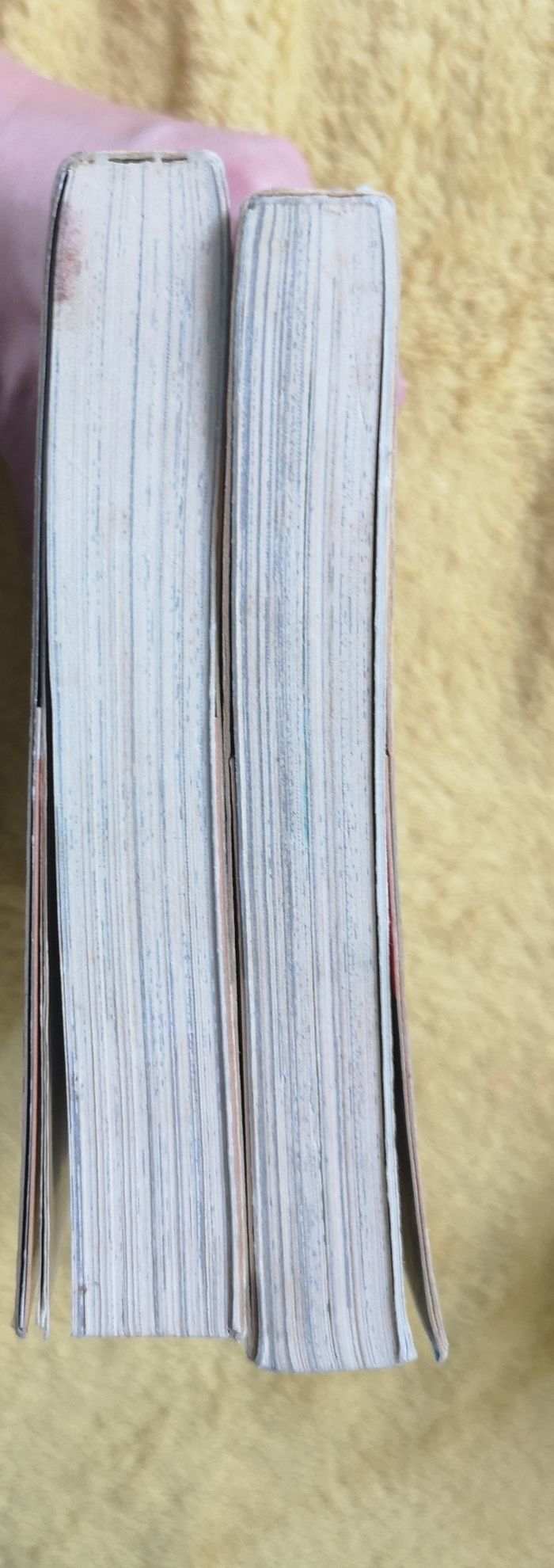 Mangas les mystérieuses cités d'or - photo numéro 8