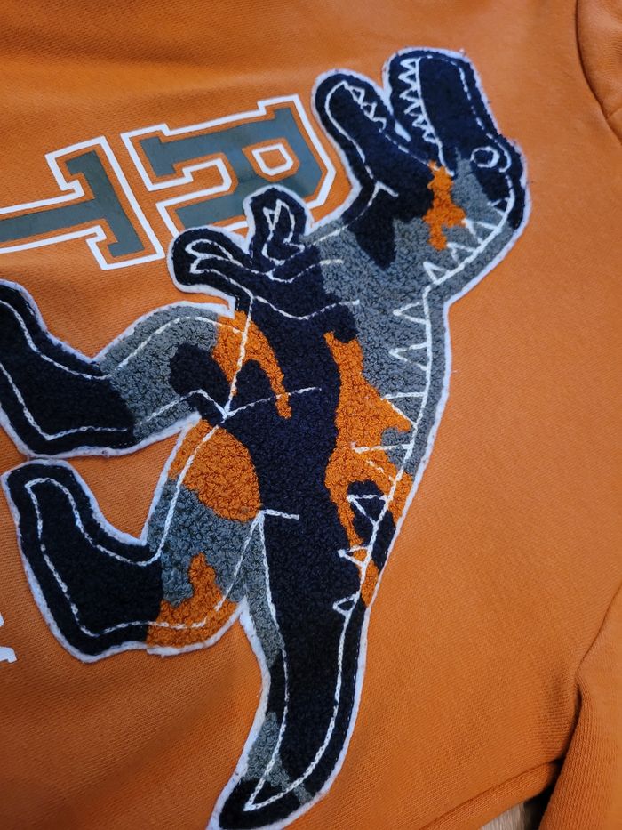 Sweat-shirts dinosaure à capuche - photo numéro 2