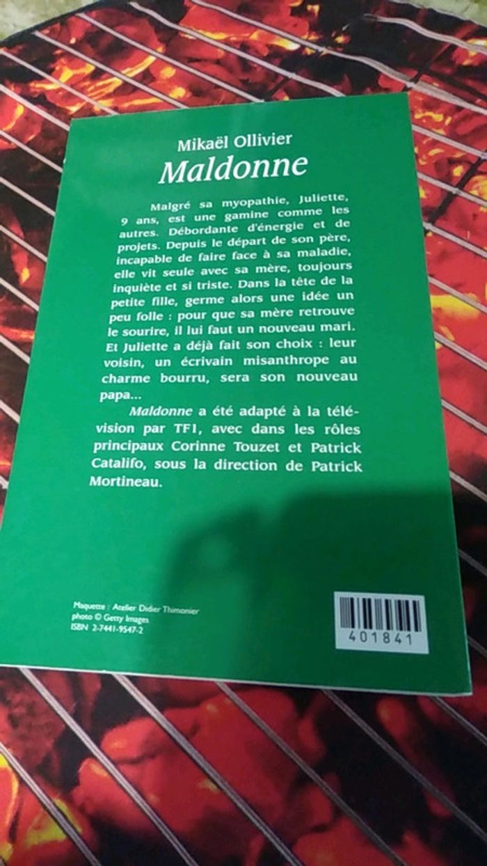 Livre Maldonne - photo numéro 2