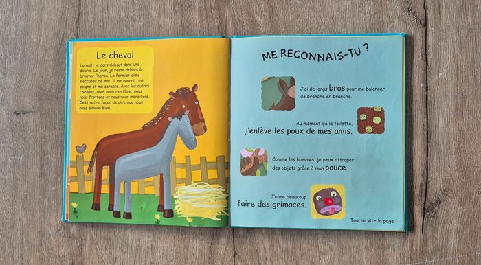 Livre Les Trouvinettes Les incollables - photo numéro 5