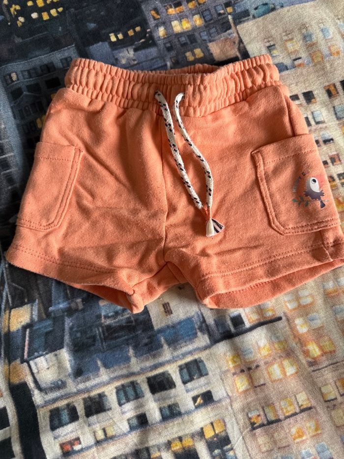 Shorts - photo numéro 2