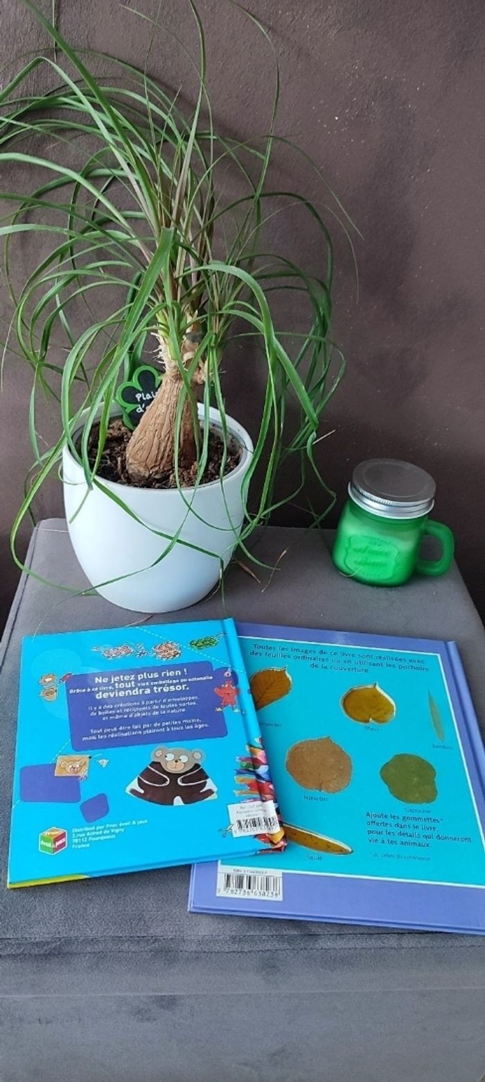 Livres d'activités manuelles pour petits - photo numéro 2