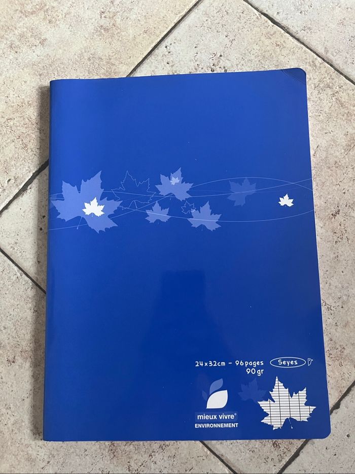 Lot de papeterie (cahiers et feuilles) - photo numéro 4