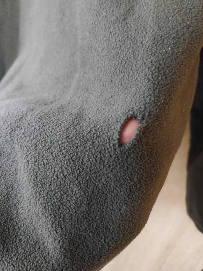 Polaire - photo numéro 7