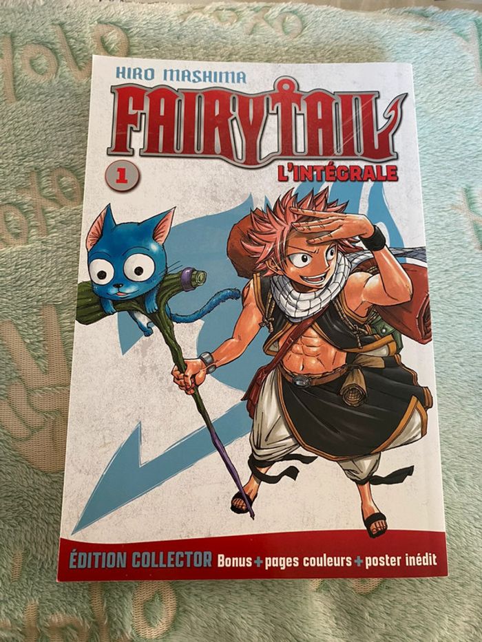 Fairy Tail grand format