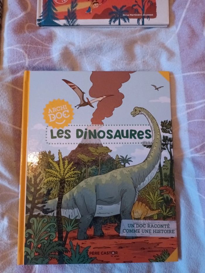 Lot de 4 livres sur les dinosaures - photo numéro 6