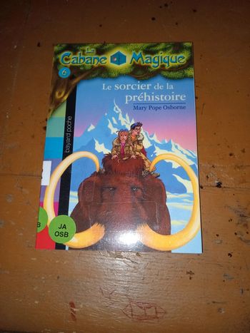 La Cabane Magique 6 : le sorcier de la préhistoire