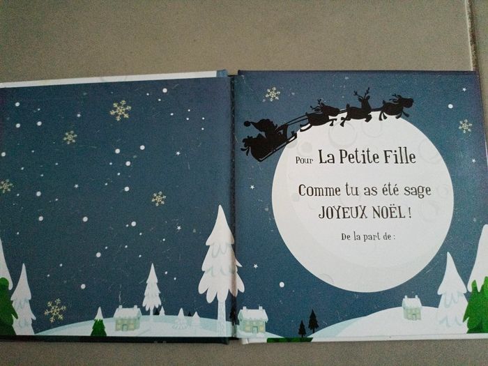 Lot de livres de Noël : Bluey, Pat' Patrouille Paw Patrol, Monsieur Loup,  La Petite fille - photo numéro 6