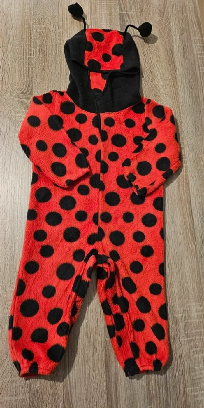 Costume coccinelle 18/24 mois - photo numéro 11