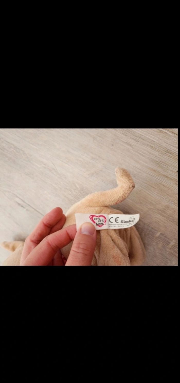 Chien avec sac - photo numéro 3