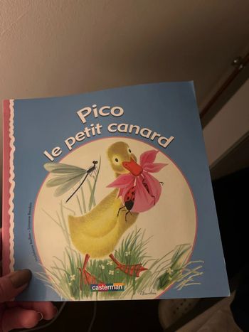 Pico le petit canard