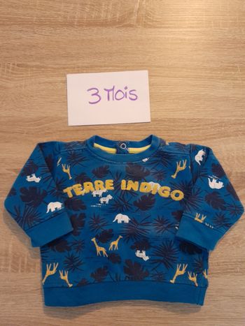 Sweat bleu safari 3m