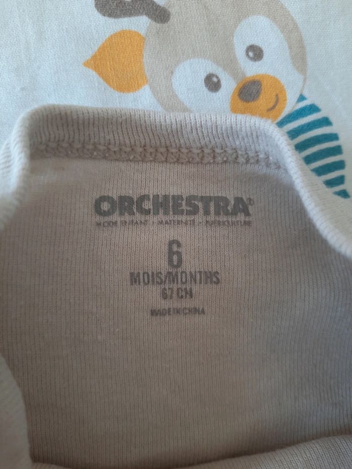 Lot body - photo numéro 3