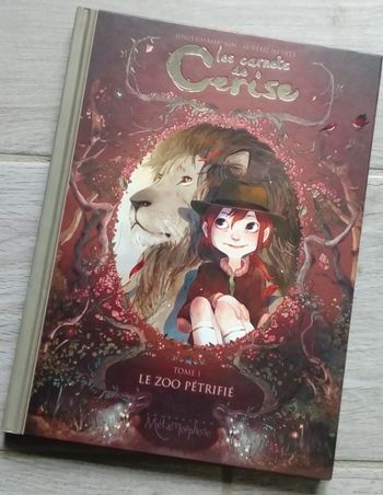 🕸 Livre les carnets de Cerise de Joris Chamblain et Aurélie Neyret 🕸