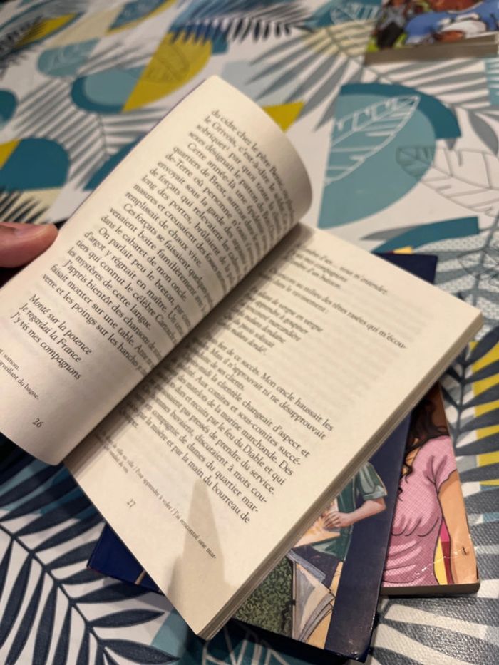 Livre ado et pré ado - photo numéro 15