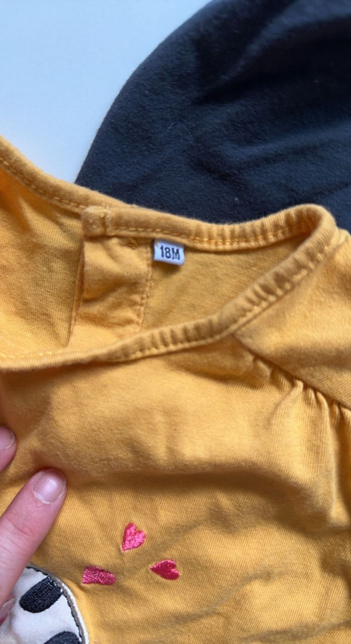 Ensemble - photo numéro 3