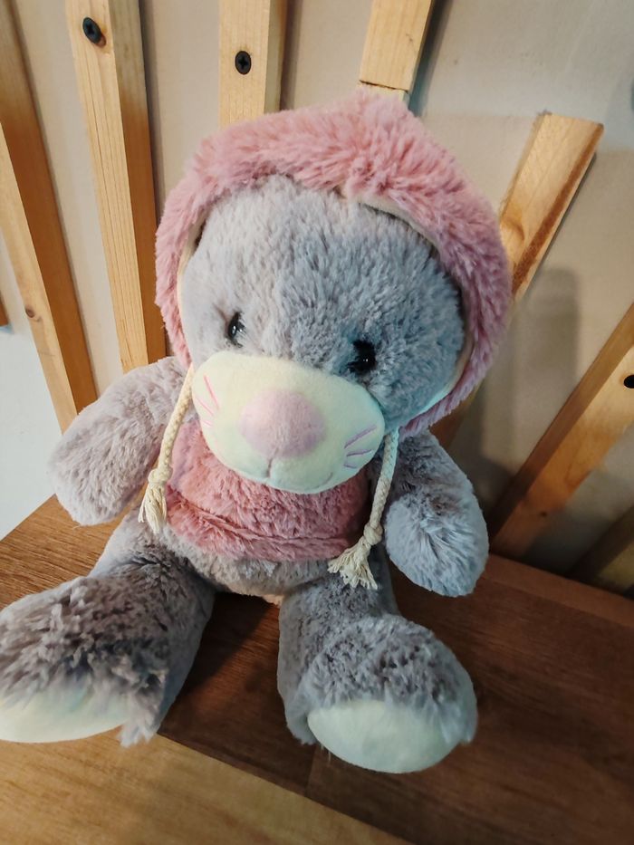 Chat gris gipsy pull rose - photo numéro 2