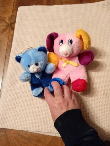 Lot de 2 Peluches ours 🐻