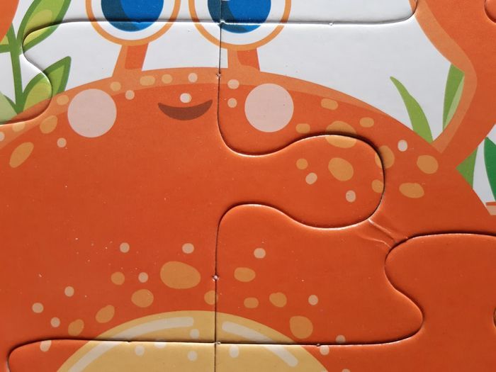 Boîte de 4 puzzles - photo numéro 3