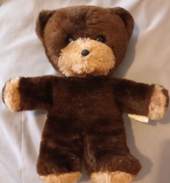 doudou peluche ours ourson de la marque Boulgom bicolore 26cm +/- marron foncé brun beige d'occasion yeux durs noir nez plastique étiquette usée