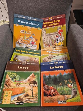 Lot de 11 livres questions réponses 3/6 ans