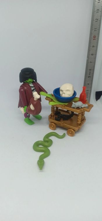 Zombie avec chariot et animaux playmobil