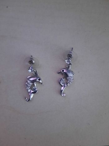 Boucles d'oreilles dauphin