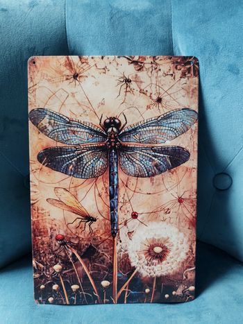 Plaque métal Libellule neuve 20x30cm