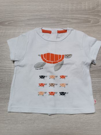 Tee-shirt manches courtes