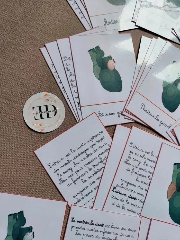 Cartes de nomenclature de la structure du coeur - photo numéro 5