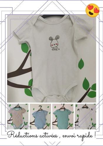 Lot 5 body manches courtes