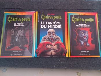 Livre chair de poule