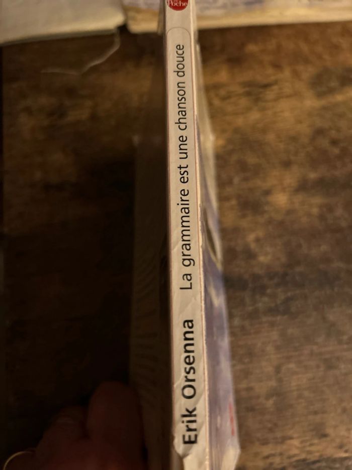 la grammaire est une chanson douce - photo numéro 3