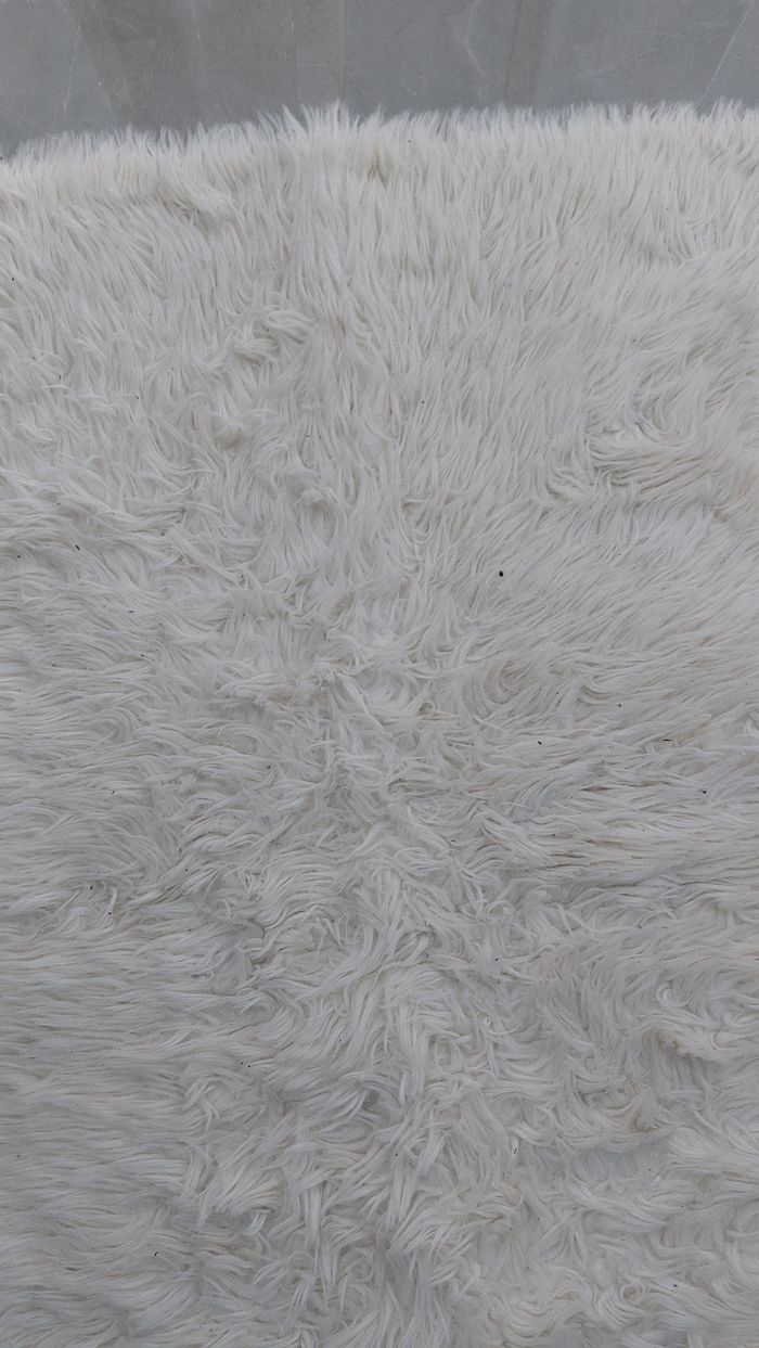Tapis - photo numéro 2