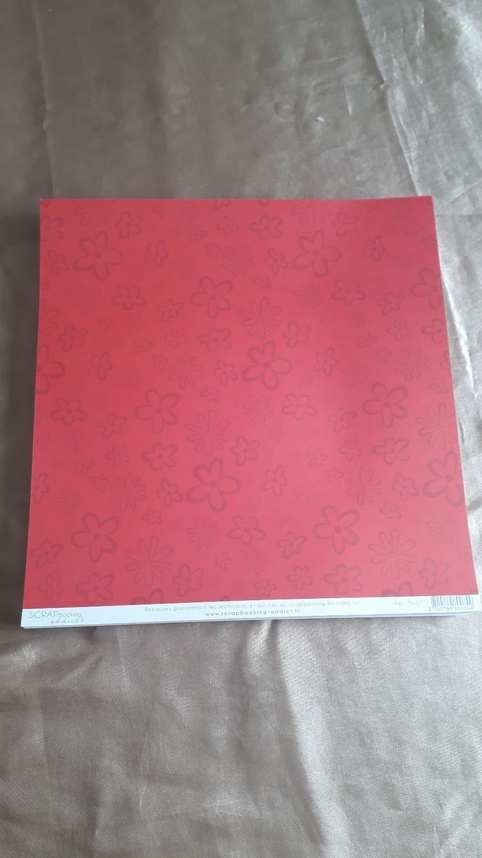 Feuilles scrapbooking / loisirs créatifs - N°1 - photo numéro 2