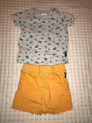 ensemble mes petits cailloux