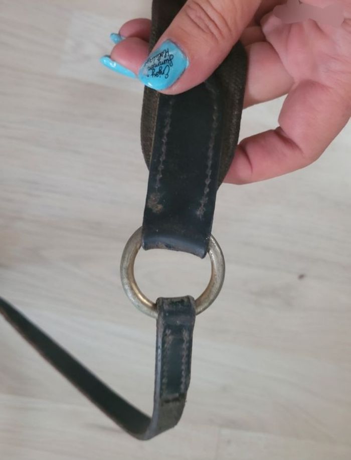 Collier de chasse équitation taille cheval - photo numéro 5