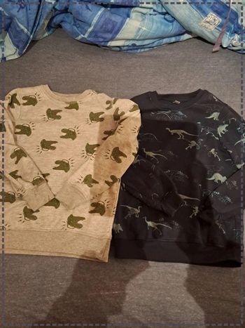 Lot 2 pulls dinosaures 9-10ans TEX