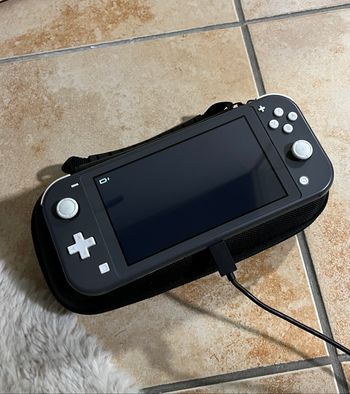 Nintendo switch lite