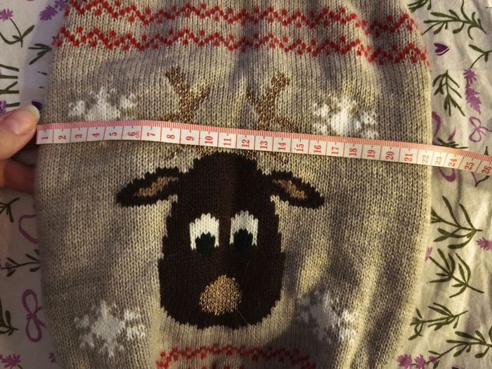 Pull chien - photo numéro 4