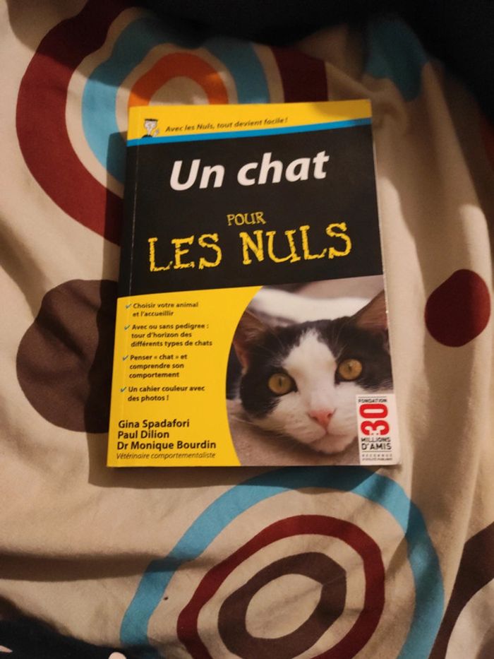 Un chat pour les nuls