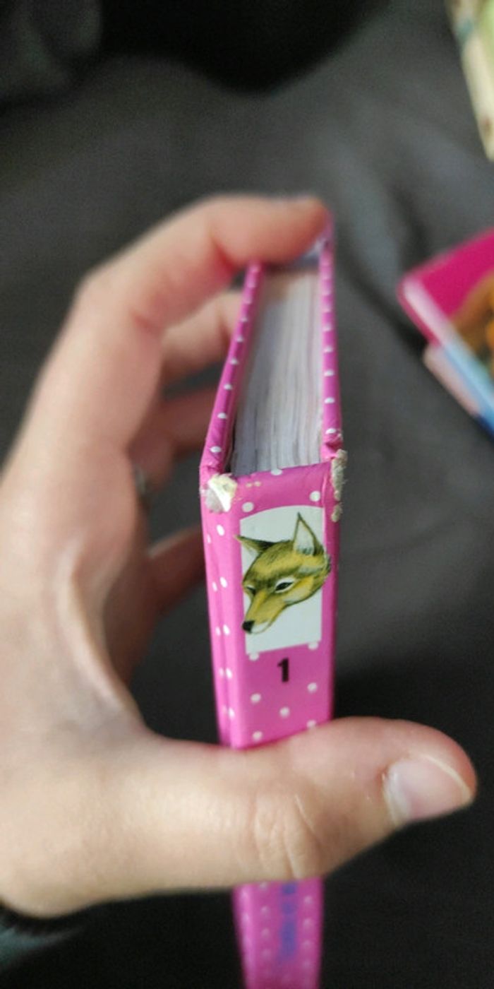 Livre tibelle et le loup - photo numéro 4