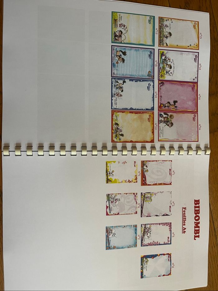 Livret de collection / registre / répertoire feuilles Diddl - photo numéro 5
