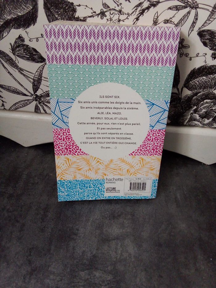 Livre 6 potes en 3e - photo numéro 2